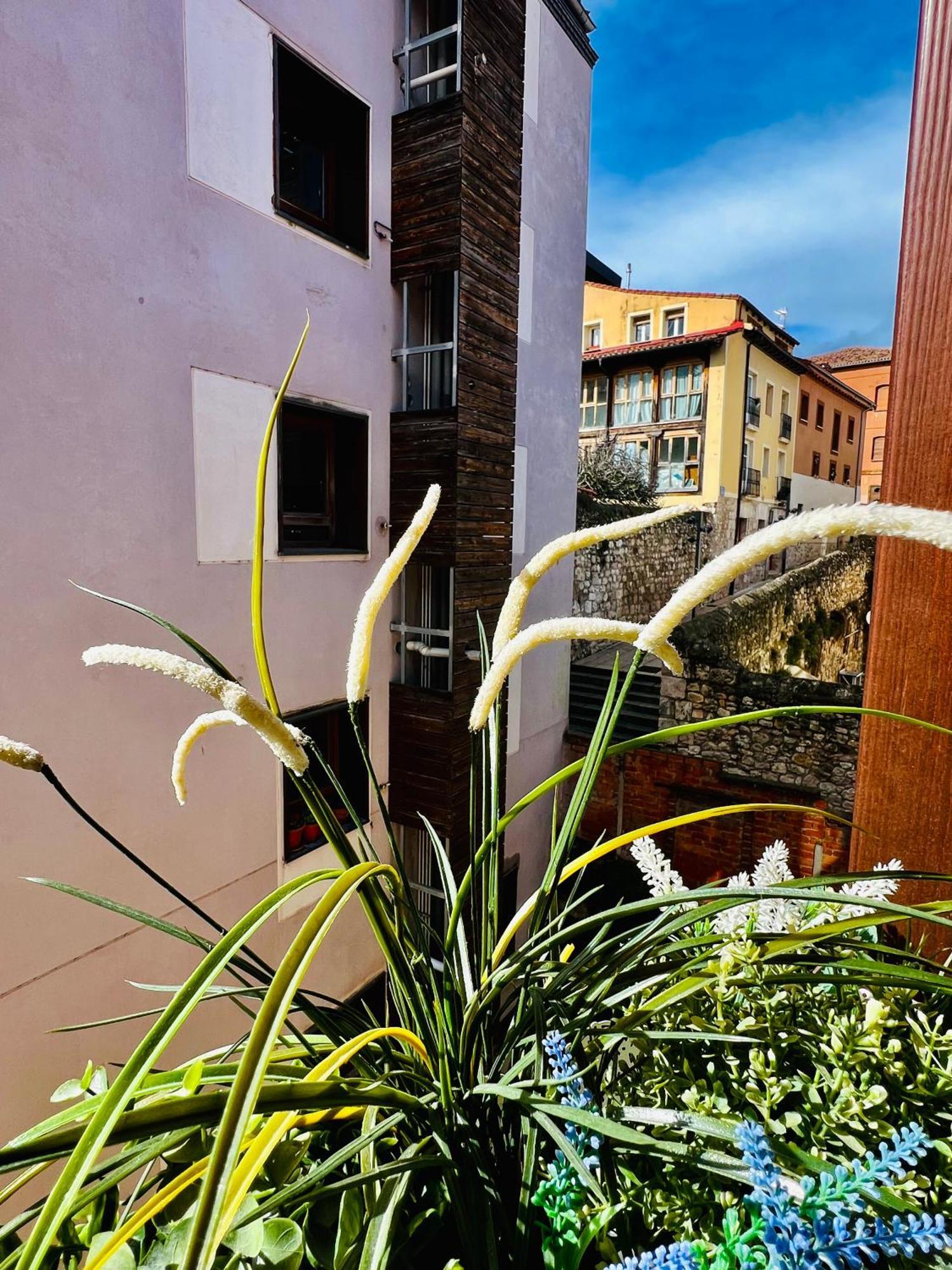 El Capricho De Claudia_ Apartamentos Burgos Catedral المظهر الخارجي الصورة
